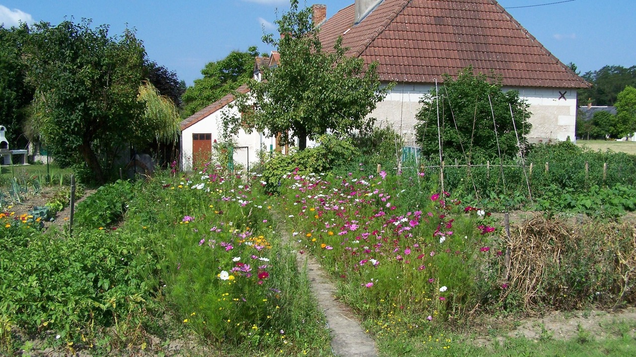 Photo of Outdoor in Rilly-sur-Loire