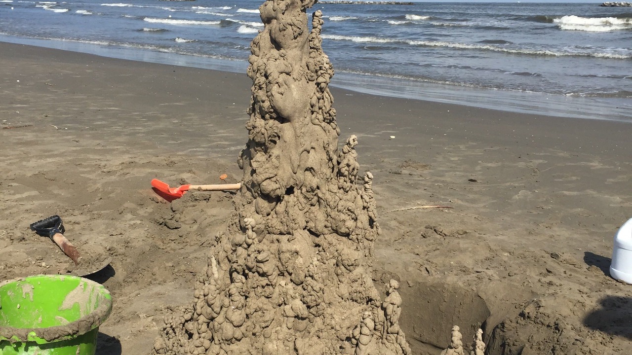 Photo of Others in Grand Isle