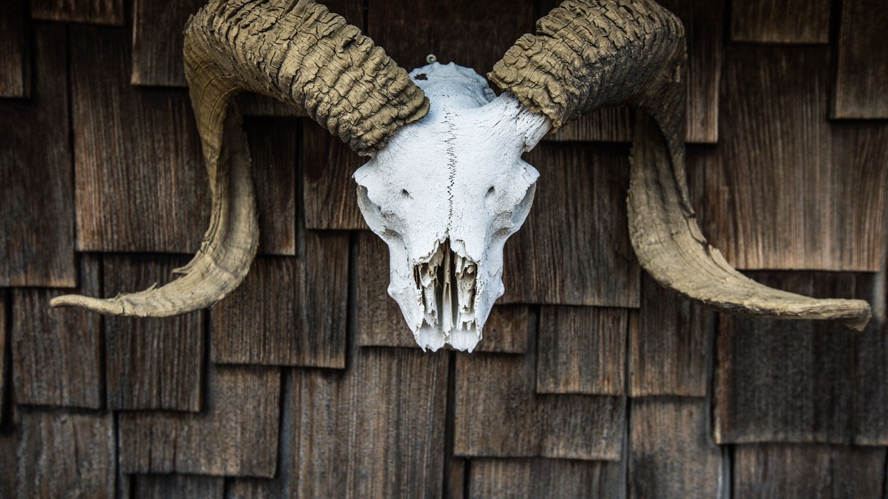 Photo of Outdoor in Cody