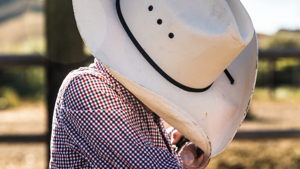 Photo of Others in Cody