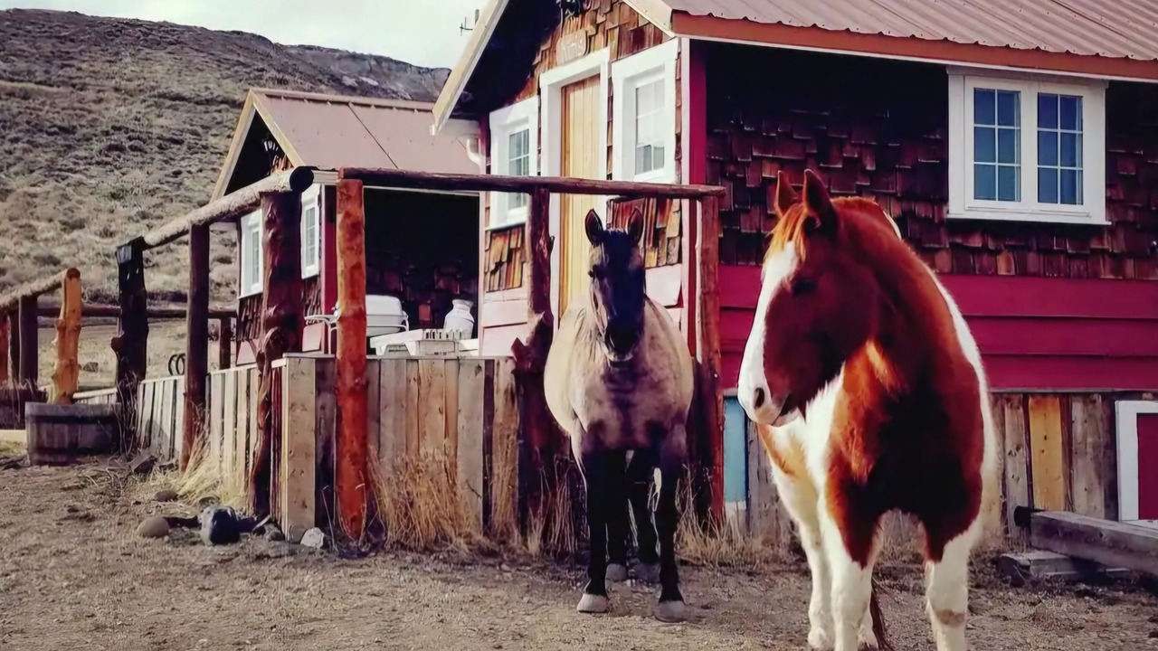 Photo of Outdoor in Cody