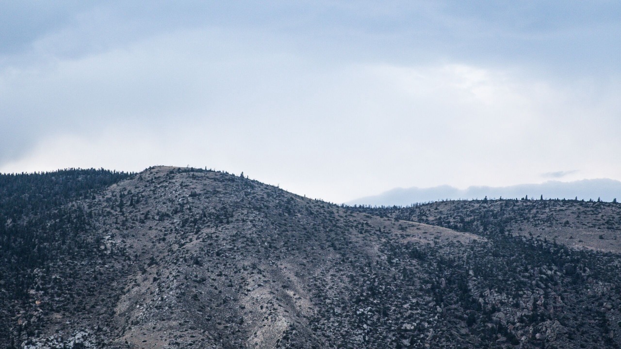 Photo of Others in Cody