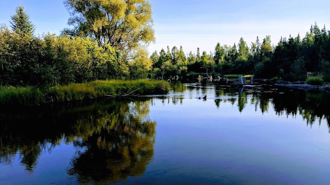 Photo of Outdoor in Grayling