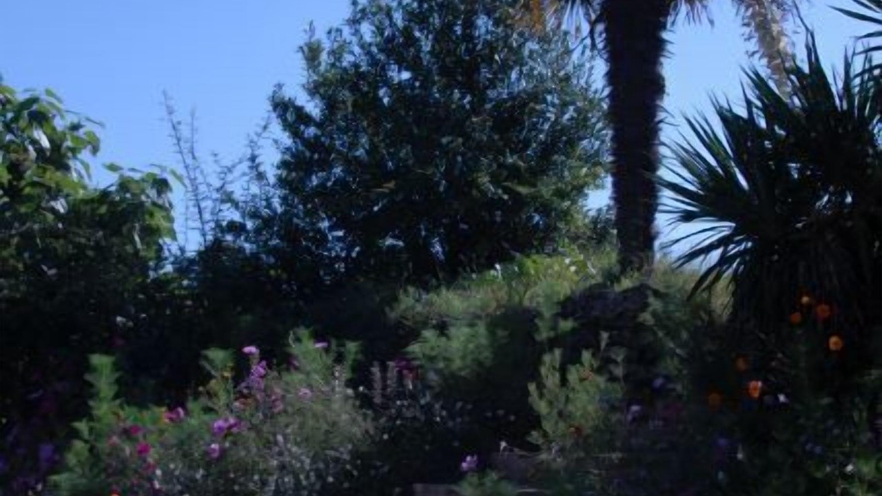 Photo of Outdoor in La Caillere-Saint-Hilaire