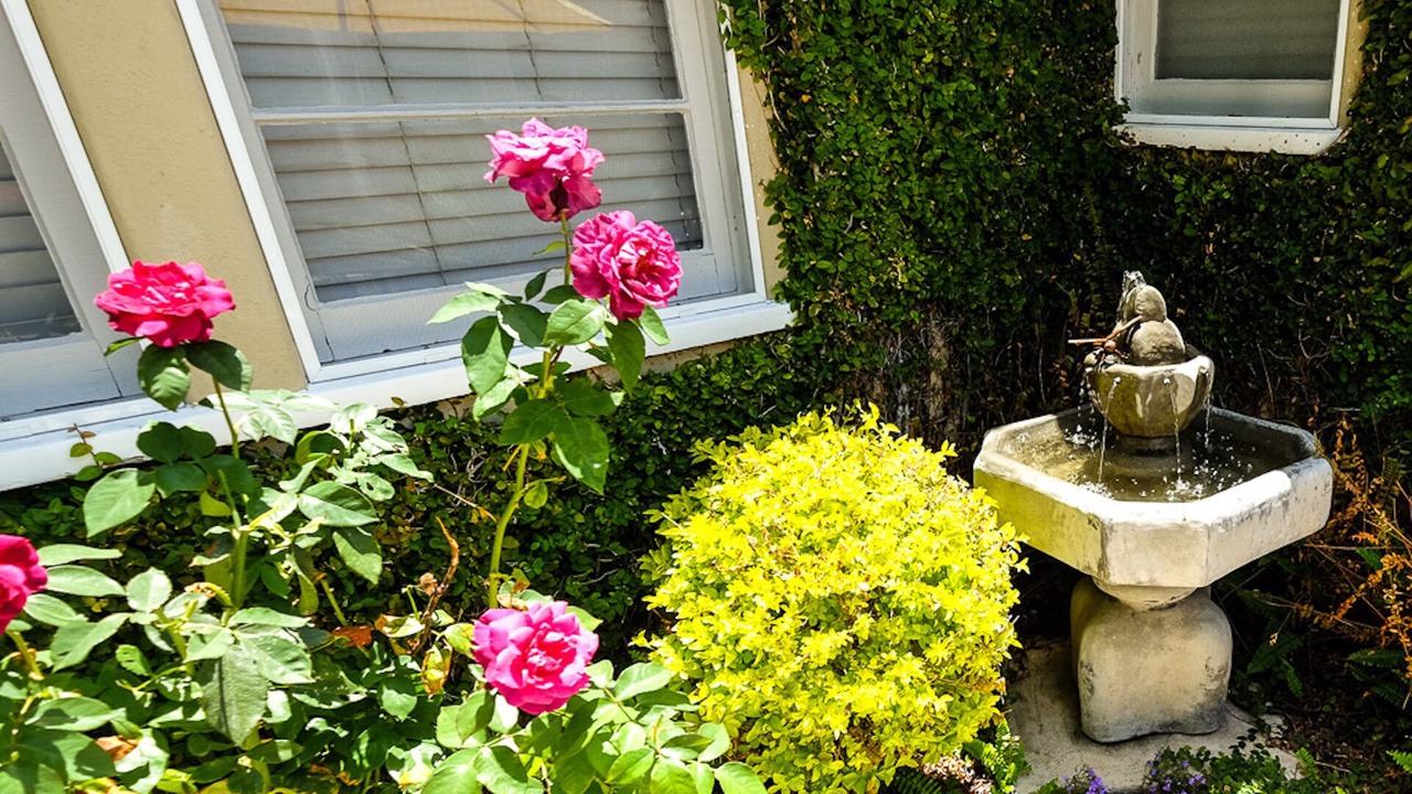 Photo of Outdoor in La Mesa