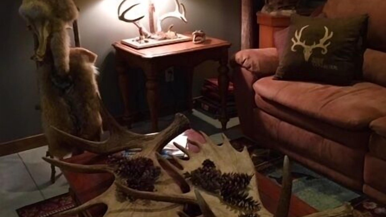 Photo of Livingroom in Chandlerville