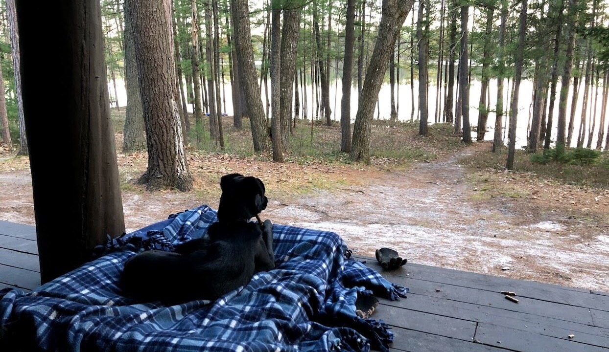 Photo of Outdoor in Gaylord