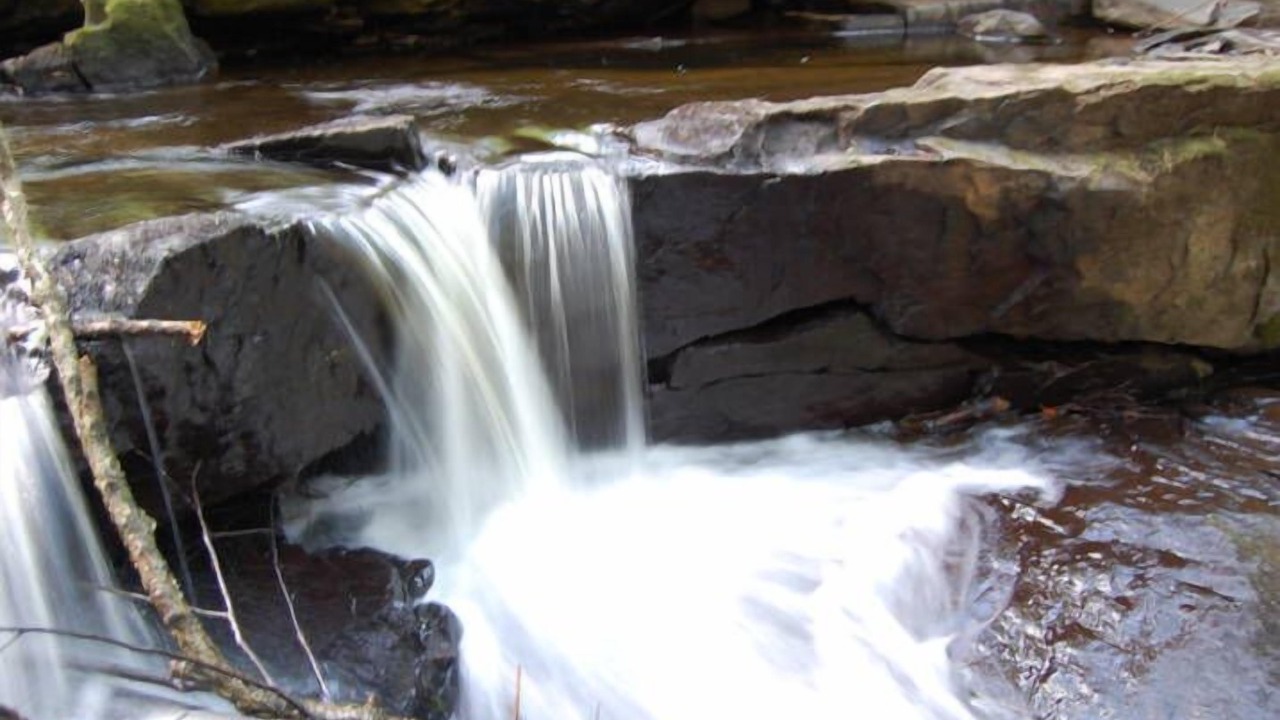 Photo of Others in Milford