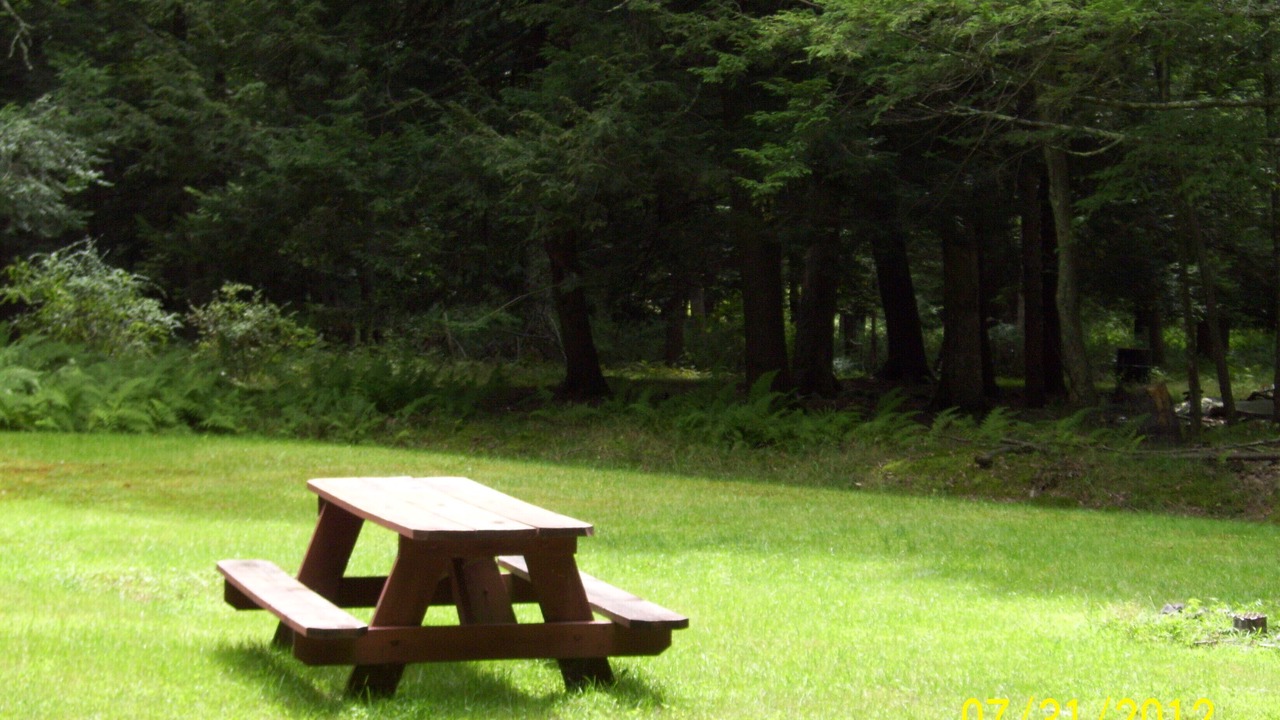 Photo of Others in Milford