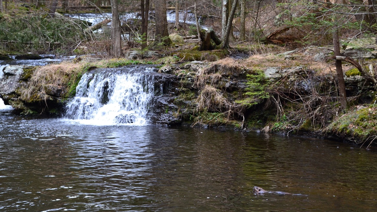 Photo of Others in Milford