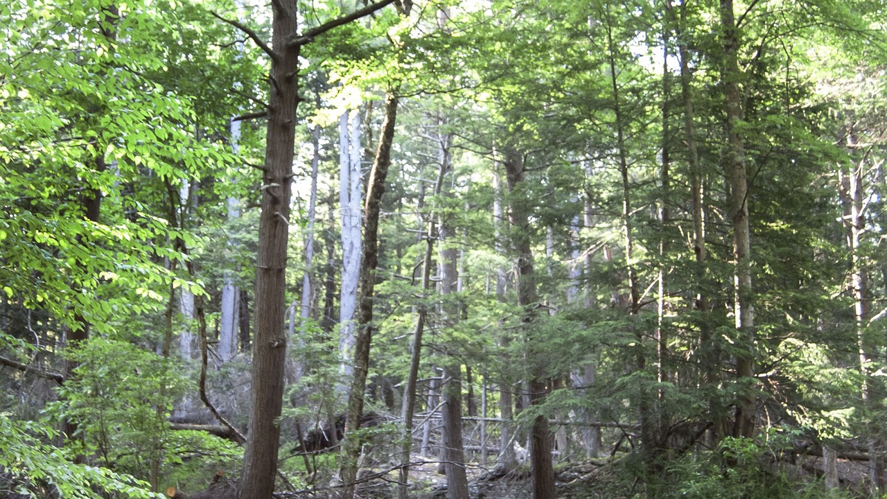 Photo of Others in Milford