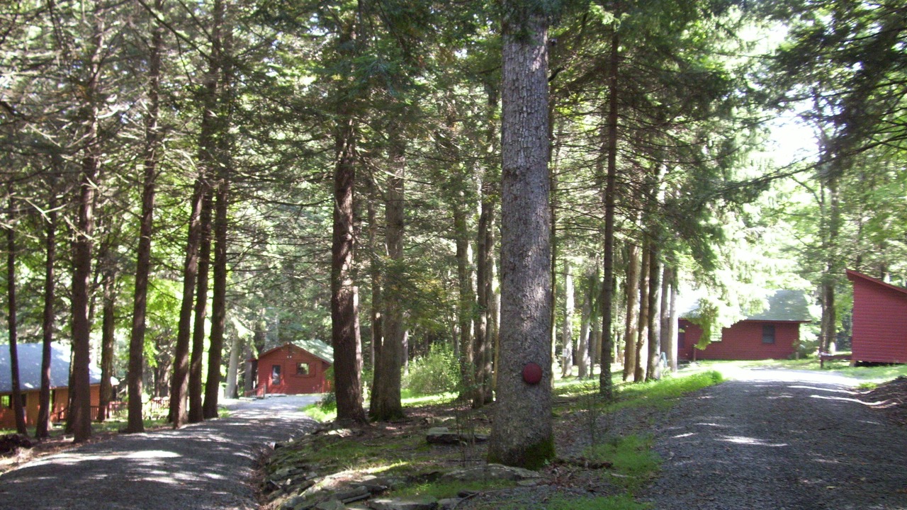 Photo of Outdoor in Milford