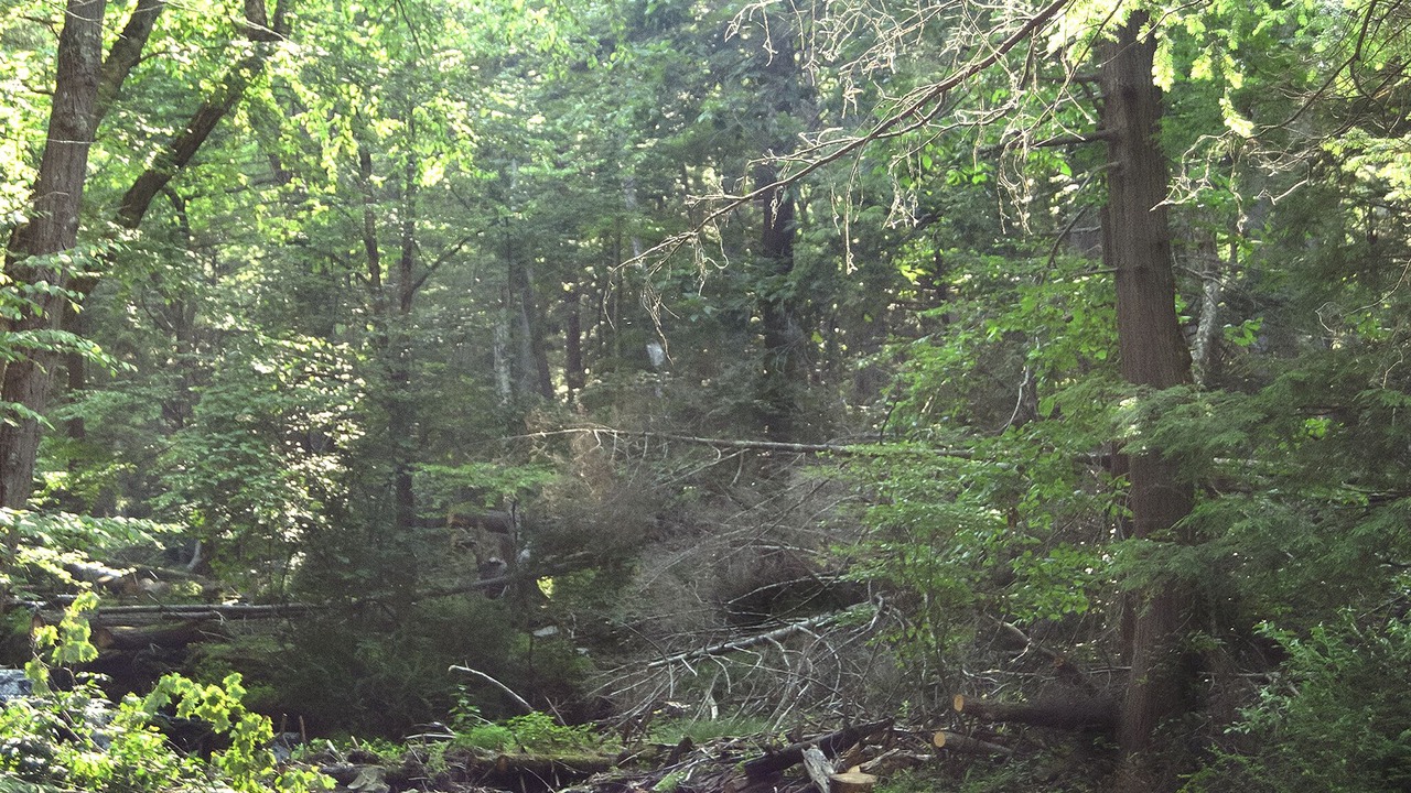 Photo of Others in Milford