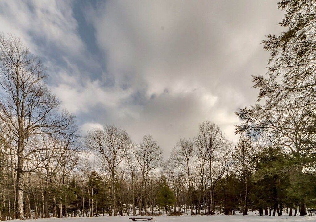 Photo of Others in Milford