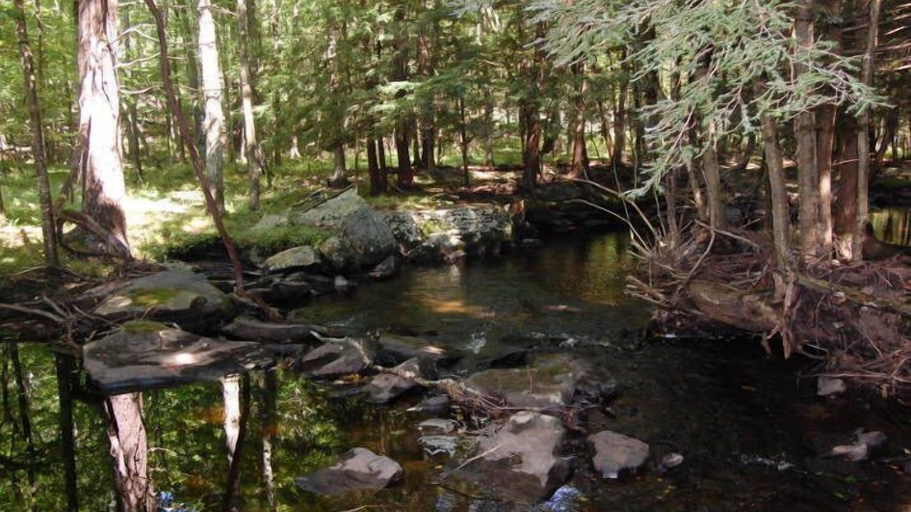 Photo of Outdoor in Milford