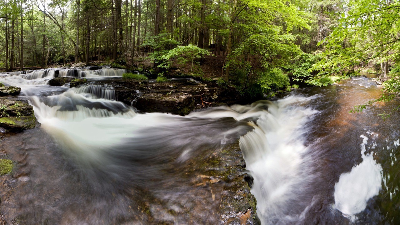Photo of Outdoor in Milford