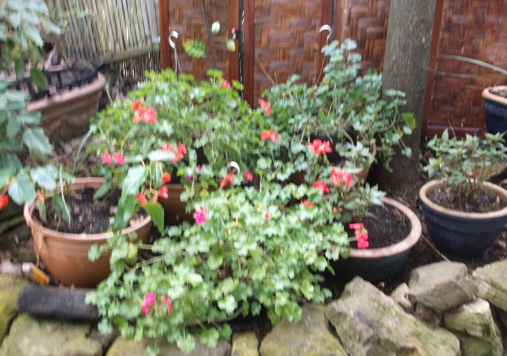 Photo of Patio Balcony in Eureka Springs Historic District