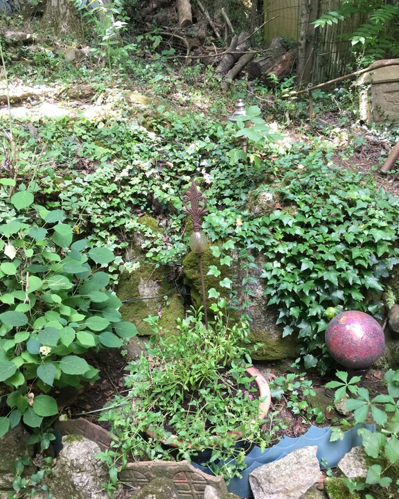 Photo of Others in Eureka Springs Historic District