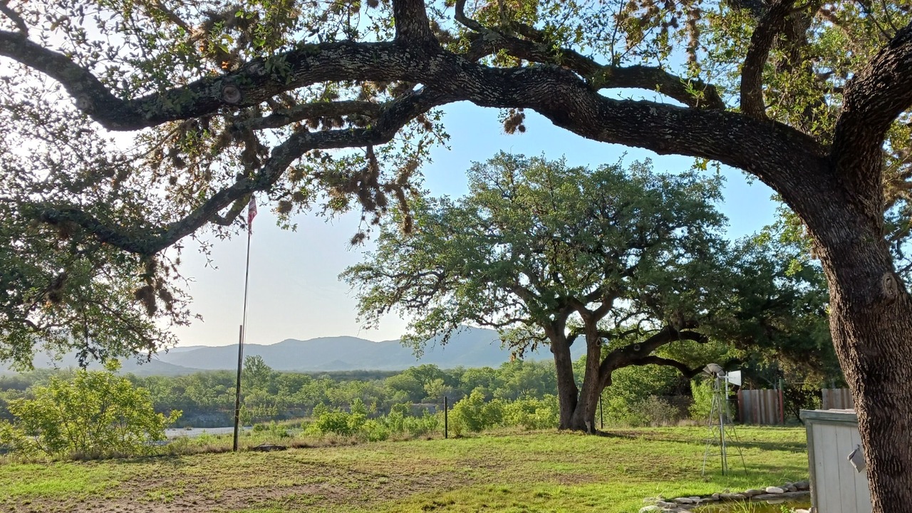 Photo of Others in Camp Wood