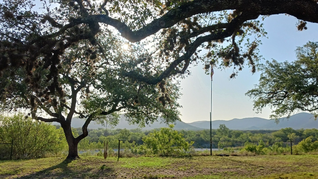 Photo of Others in Camp Wood