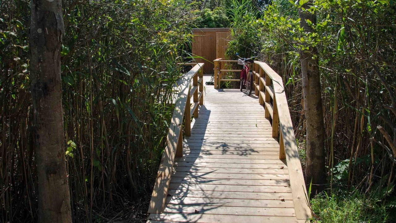 Photo of Others in Seaview