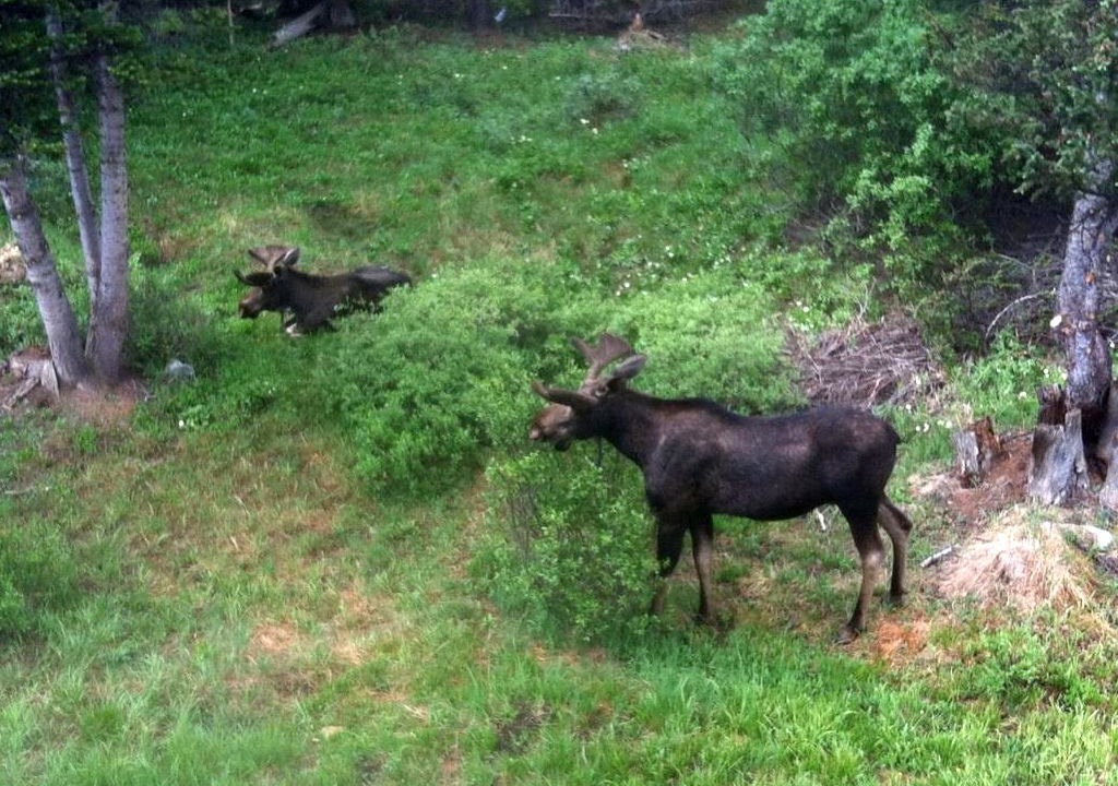 Photo of Others in Quandary Village