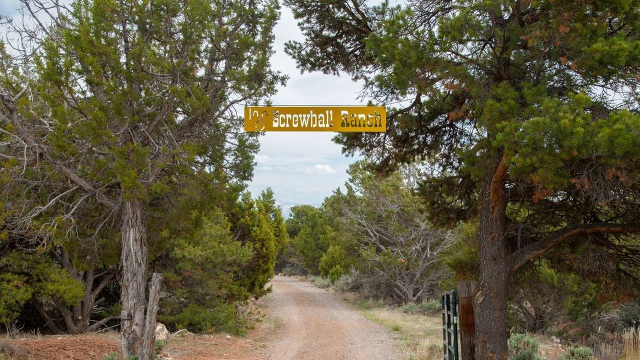 Photo of Others in Cedaredge