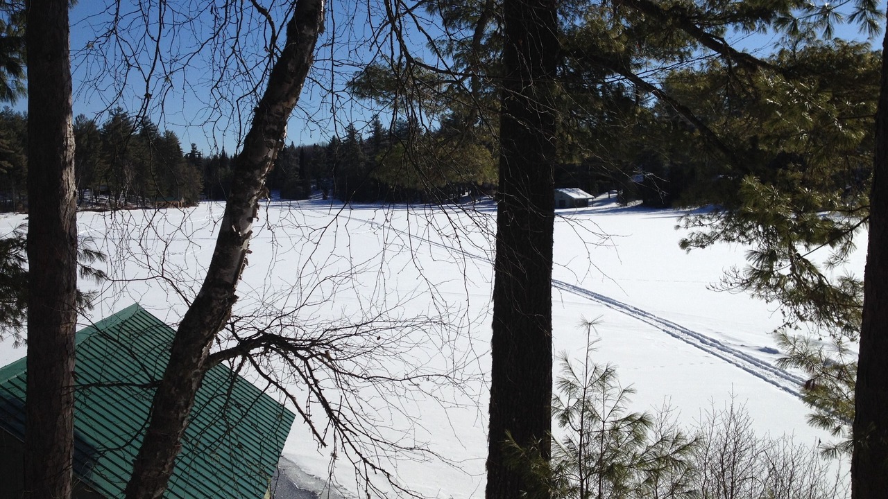 Photo of Others in Rainbow Lake