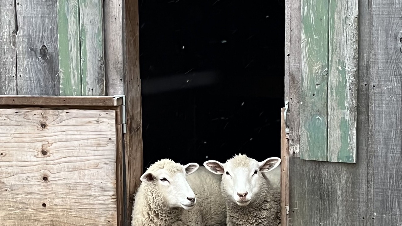 Photo of Others in Cheshire