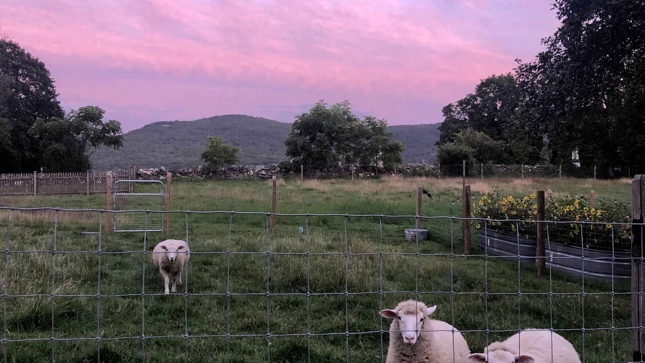 Photo of Others in Cheshire