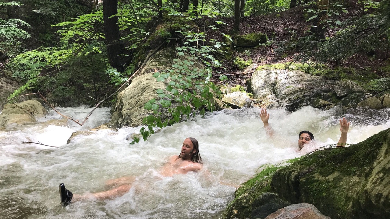 Photo of Others in Cheshire