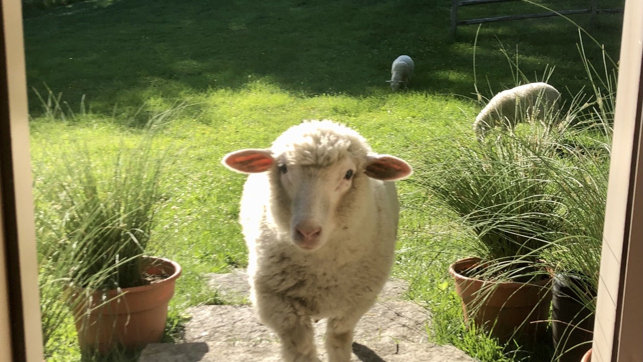 Photo of Others in Cheshire