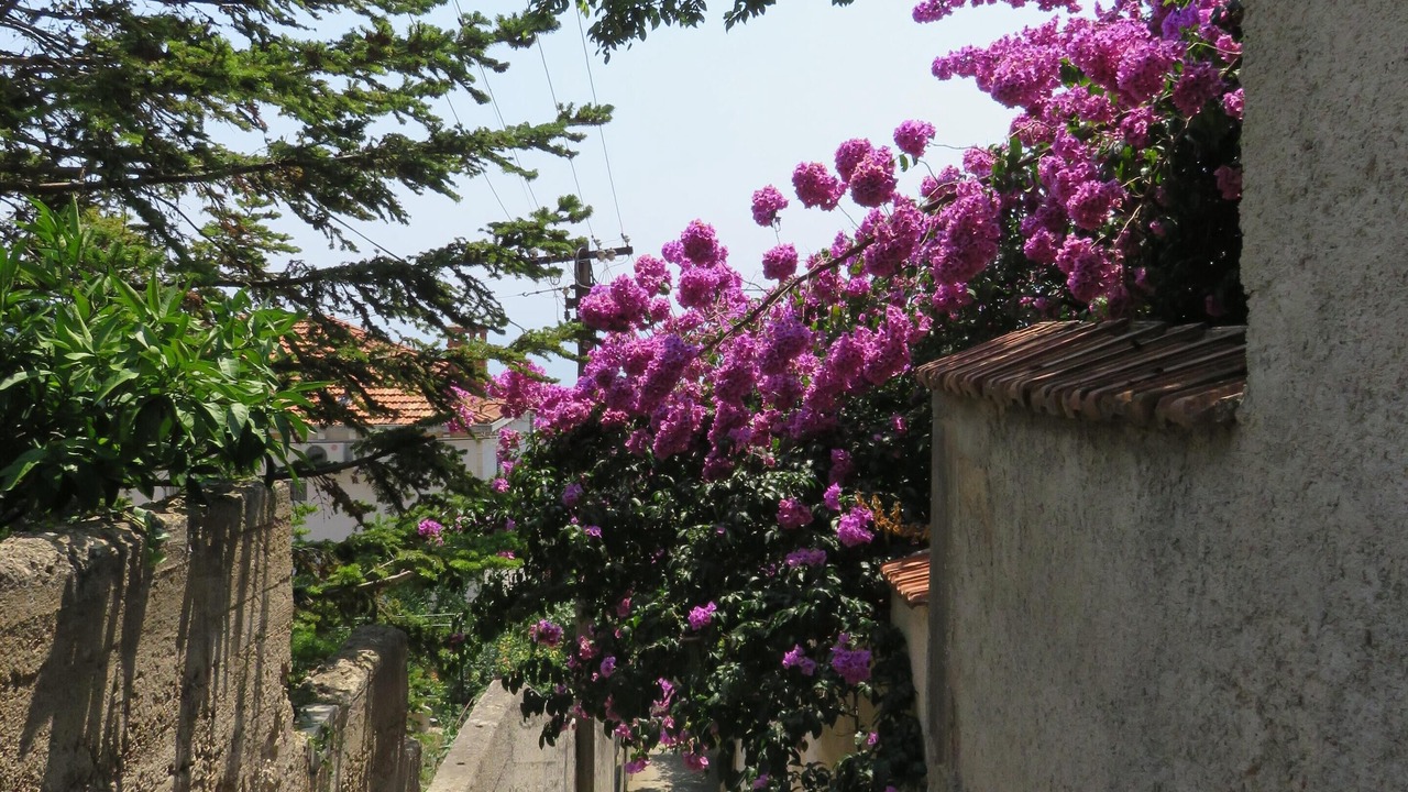 Photo of Others in Gornji Kono