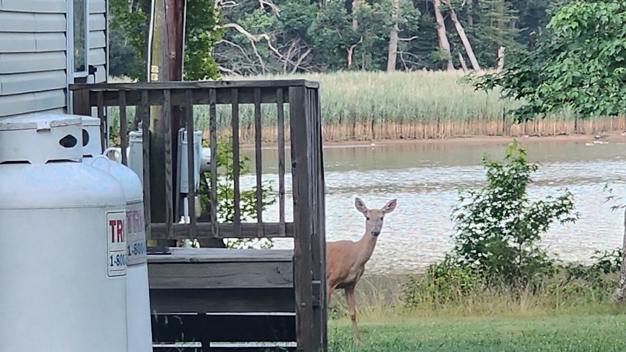 Photo of Outdoor in North East