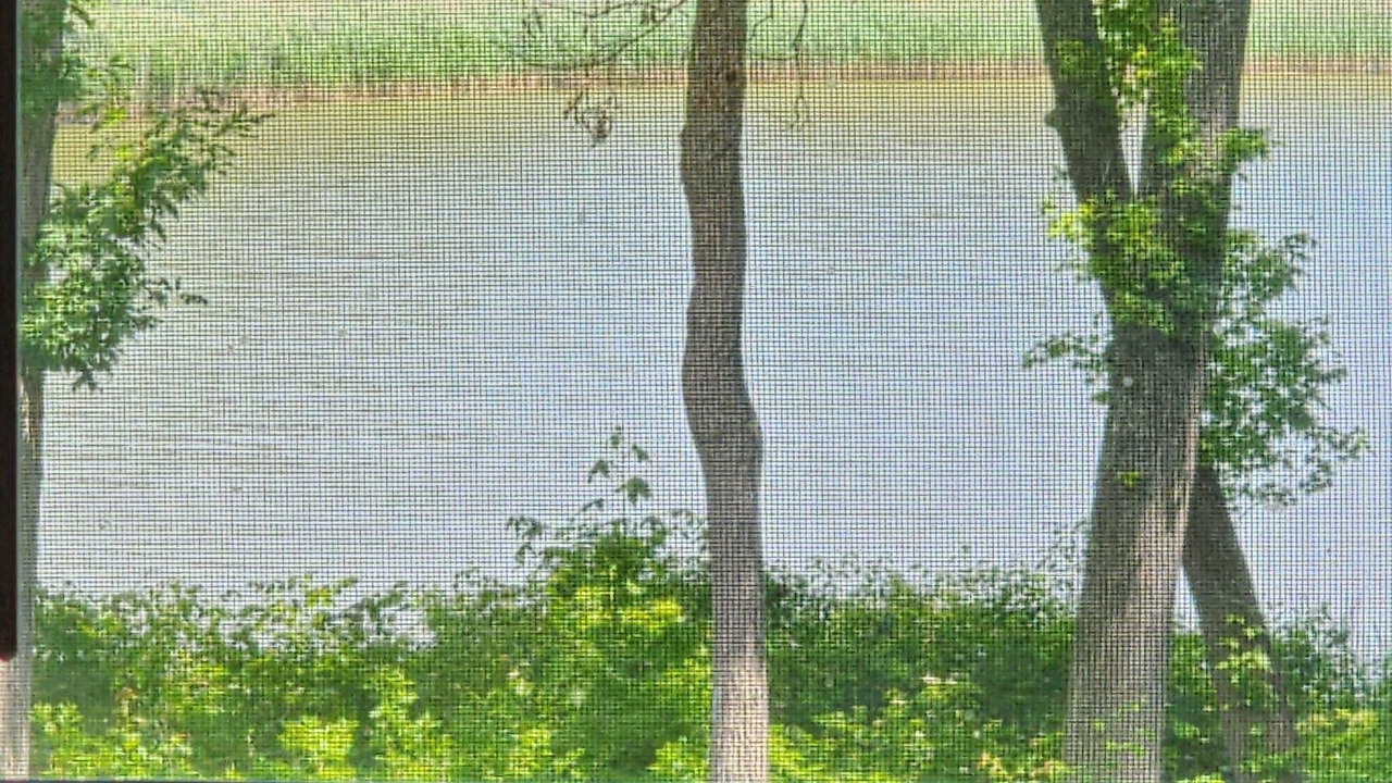 Photo of Others in North East