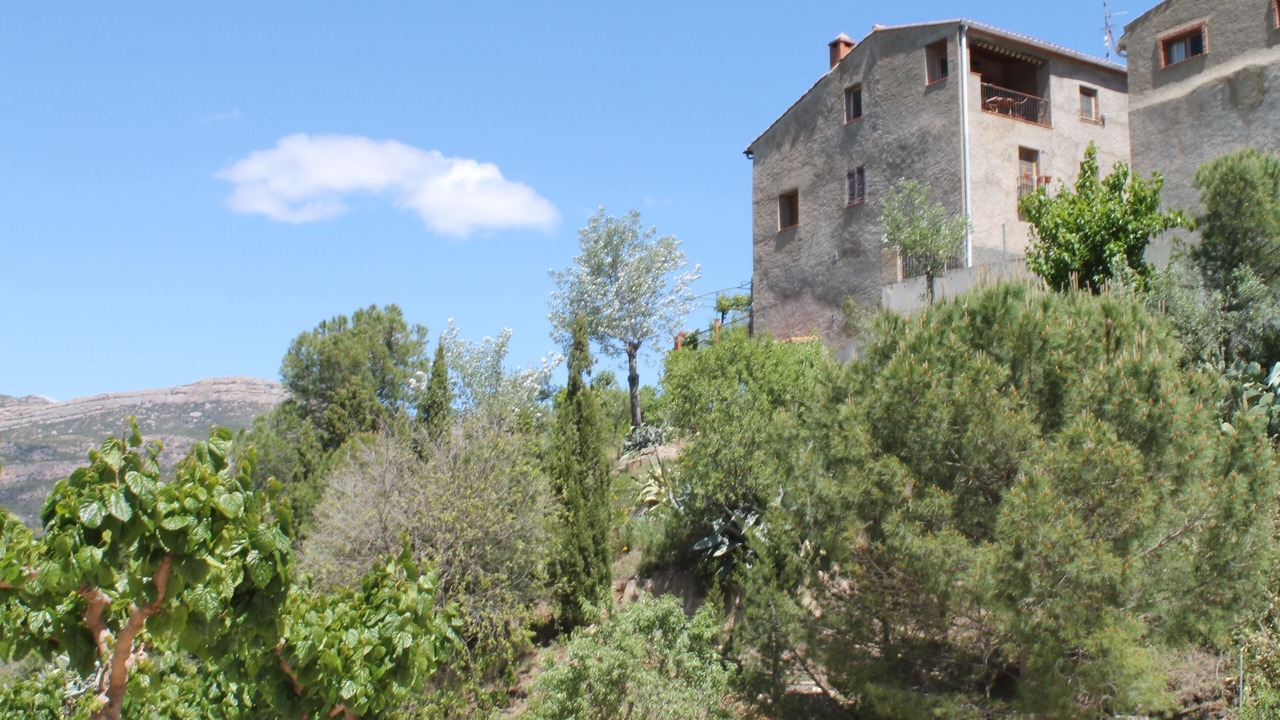 Photo of Outdoor in La Vilella Alta