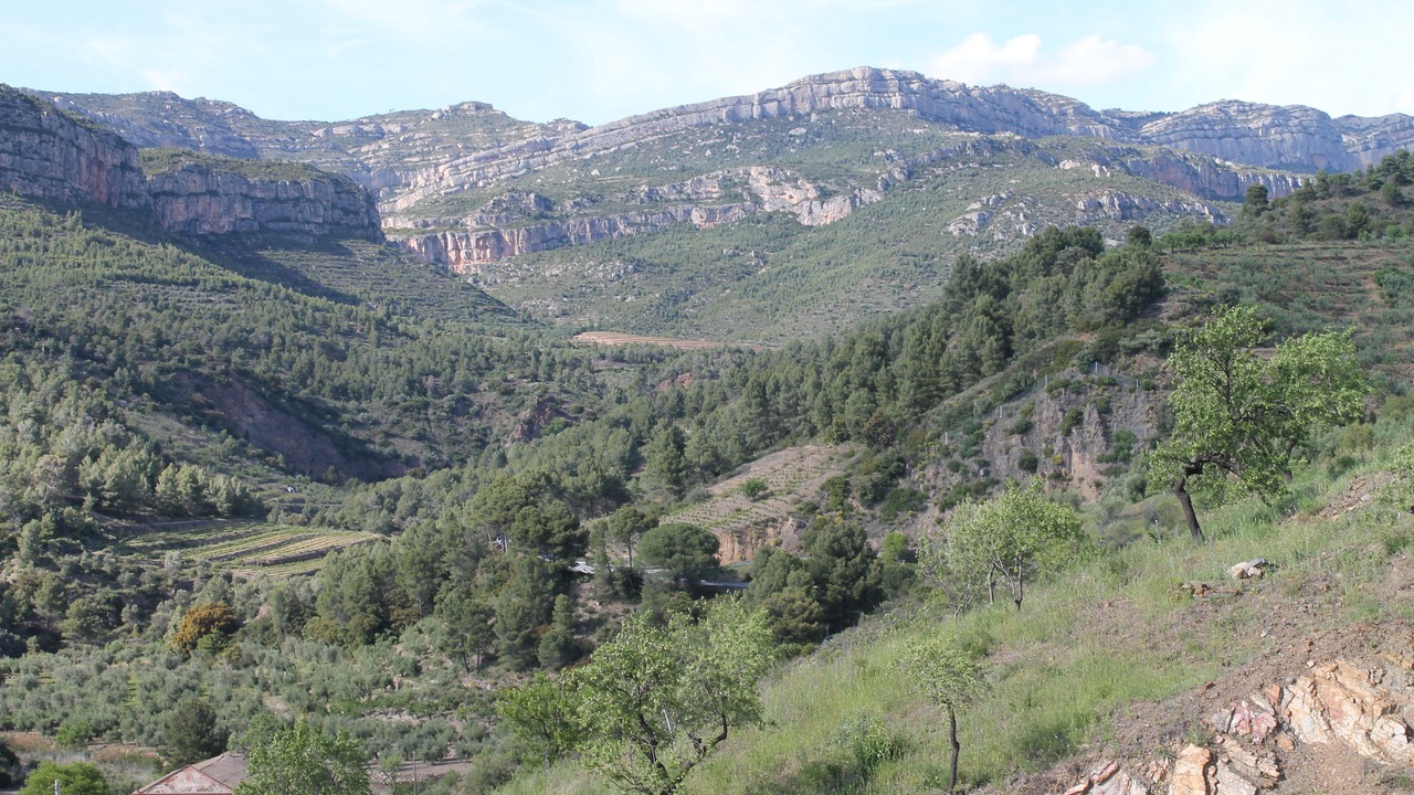 Photo of Others in La Vilella Alta