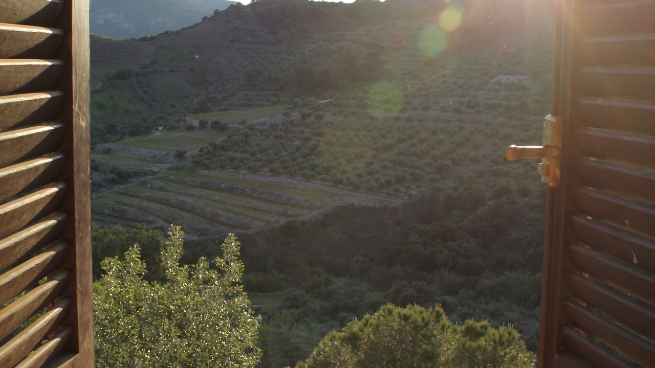 Photo of Others in La Vilella Alta