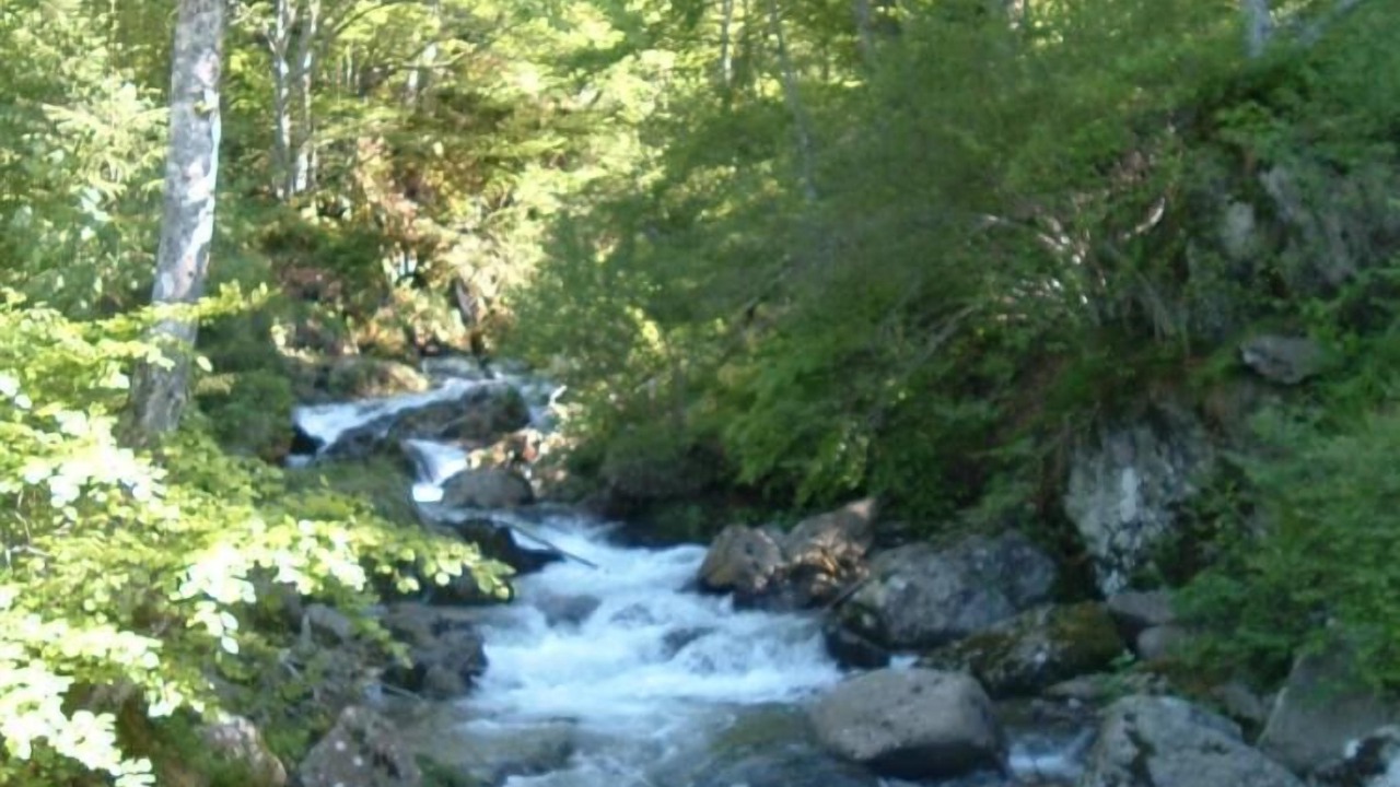 Photo of Outdoor in Montferrier