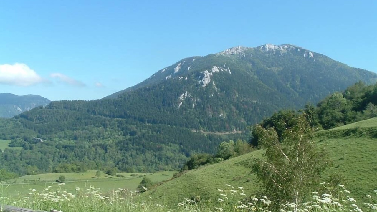 Photo of Others in Montferrier