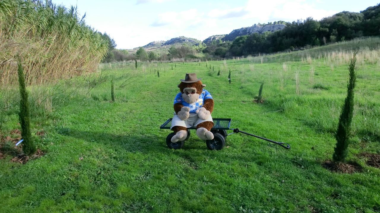 Photo of Outdoor in Cazedarnes