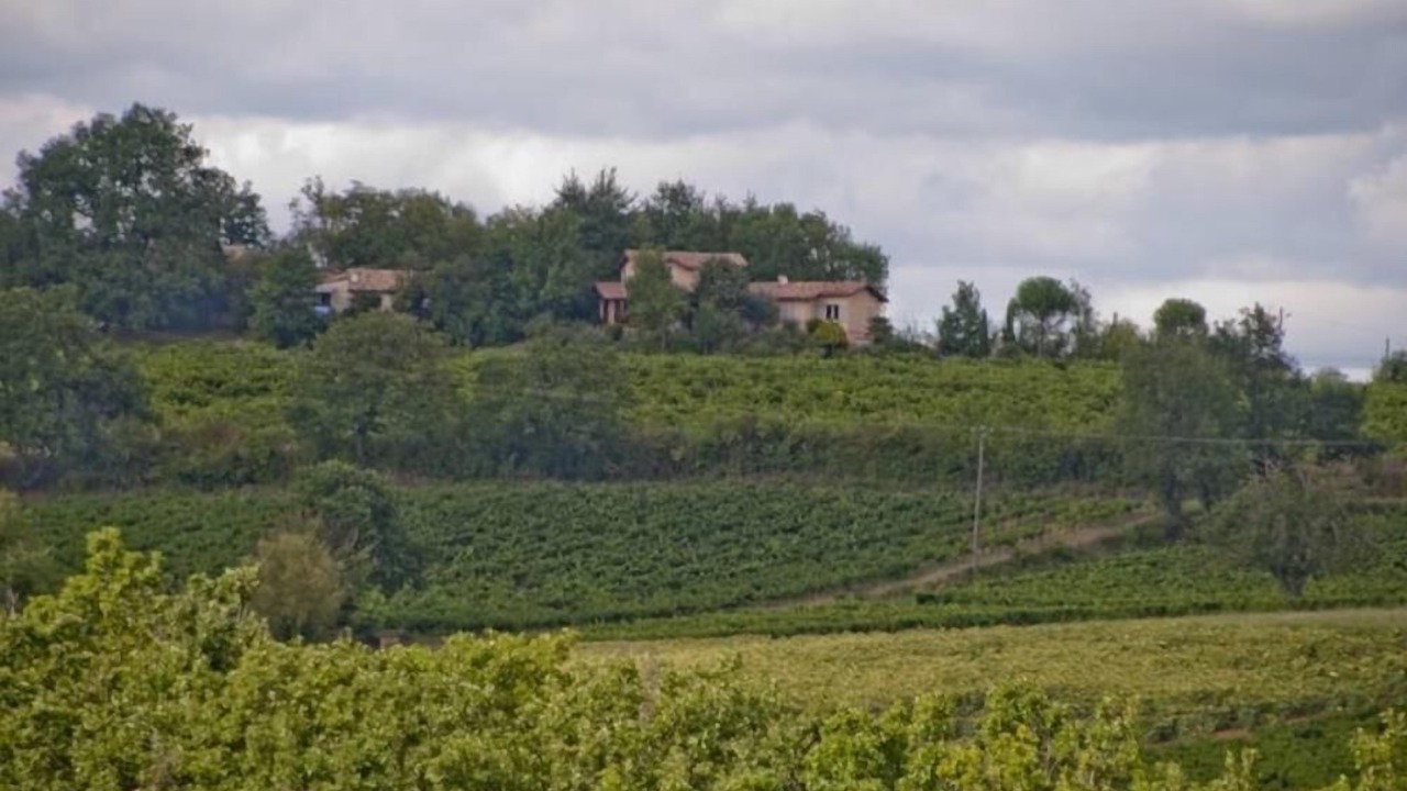 Photo of Others in Montels