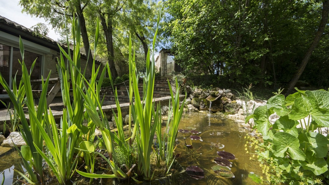 Photo of Outdoor in Montels