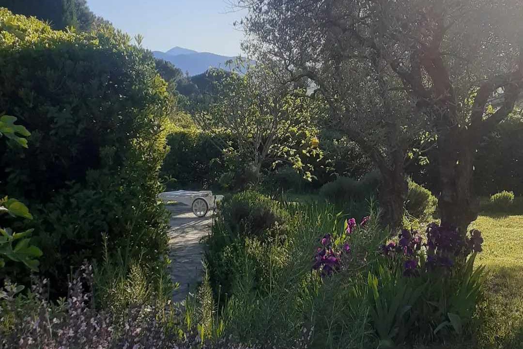 Photo of Outdoor in Vaison-la-Romaine