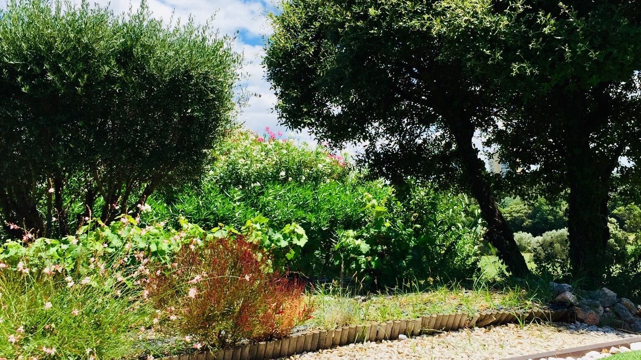 Photo of Outdoor in Juvignac