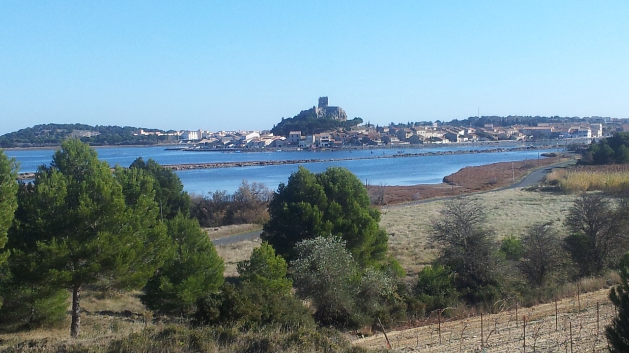 Photo of Others in Gruissan