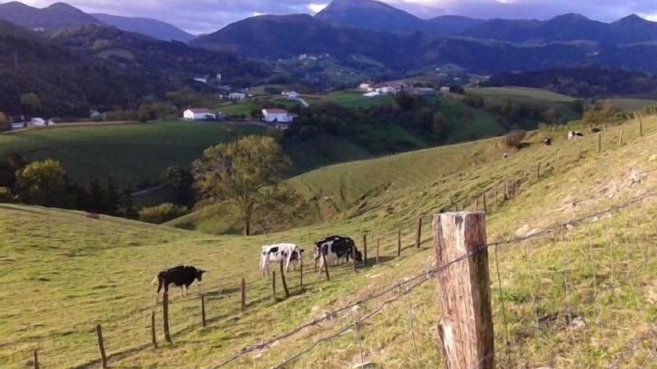 Photo of Outdoor in Zumaia