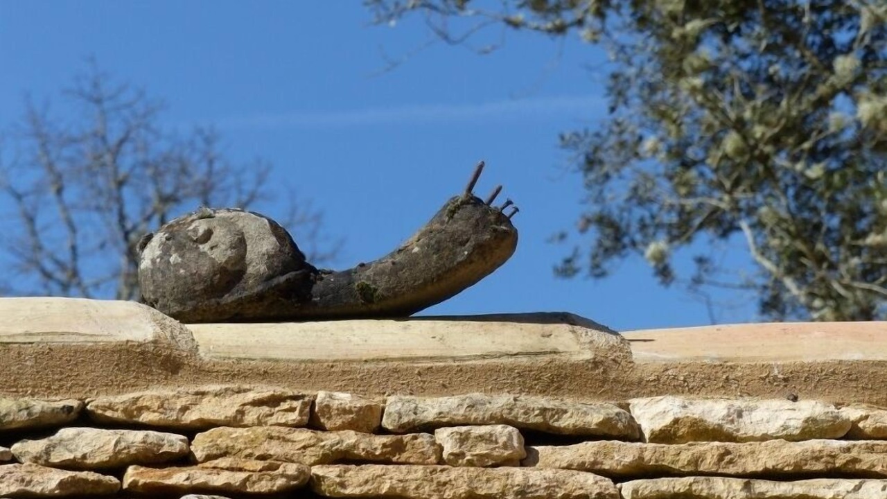 Photo of Outdoor in Plazac