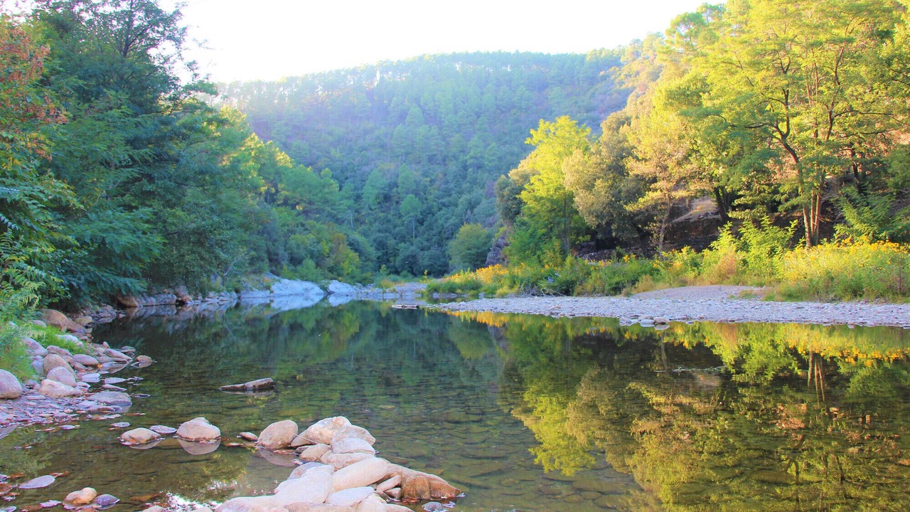 Photo of Others in Peyremale