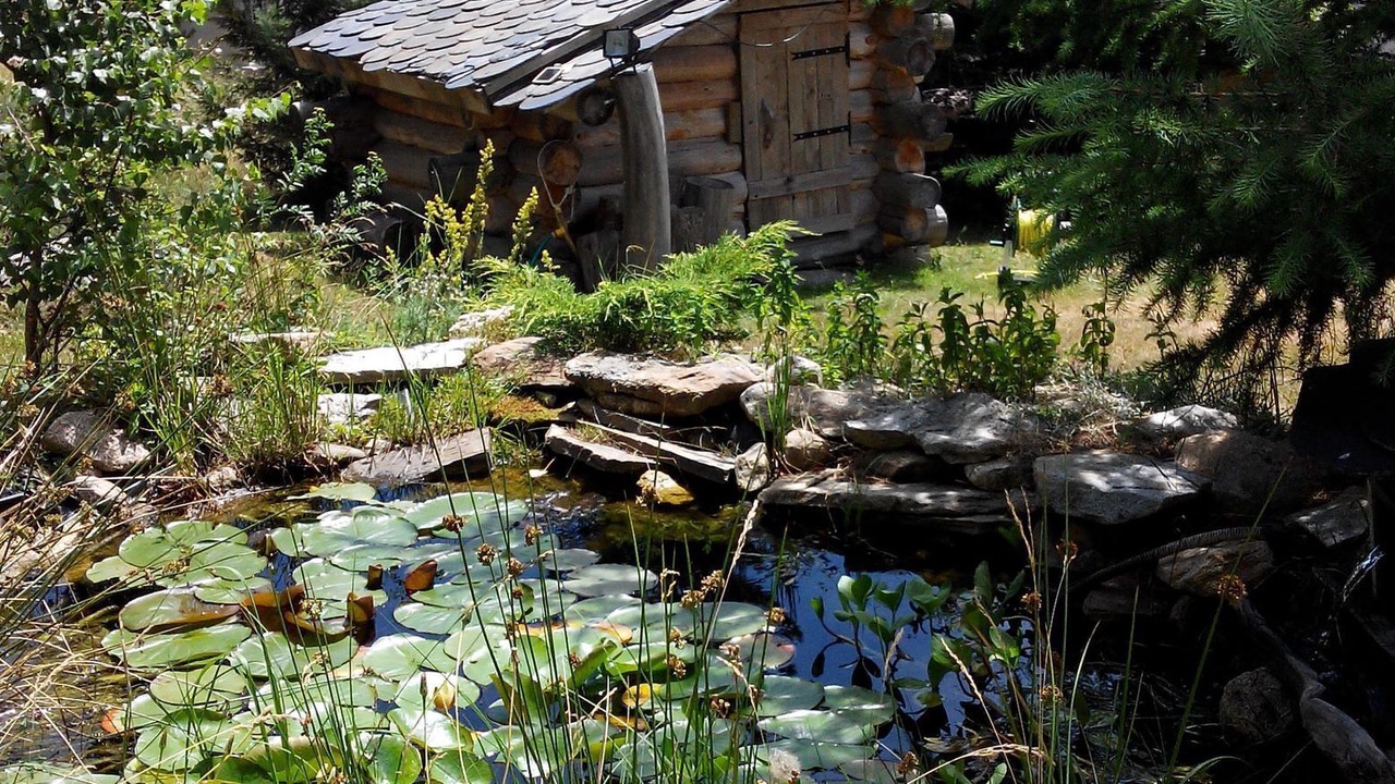 Photo of Outdoor in Pyrenees 2000